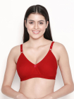 AI1004-FieryRed-1