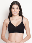 AIL1003-BlackBeauty-1