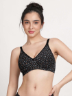 LPB001-BlackBeauty-front